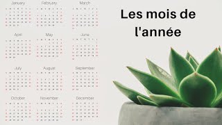 Les mois de lannée  4K  Learn French With Raji [upl. by Anehsat]