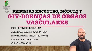 Vídeo Aula Encontro 1 Módulo 7 Grupo 4 Doenças de Órgãos Vasculares [upl. by Aerehs]