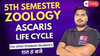 Lt17 Life Cycle In Ascaris  5th Semester Zoology Paper  01  Sumit Rana Sir [upl. by Melan]