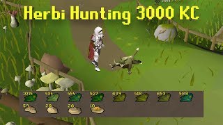 Road To All Pets  3000 Herbiboar kc  Unlocking Volcanic Mine Rewards  im a meme  Fossil Island [upl. by Fechter]