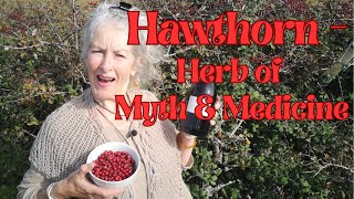 Hawthorn  Herb of Myth and Medicine [upl. by Netsirhc189]