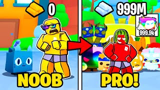 Noob To PRO In Pet Simulator 99 Roblox [upl. by Bellda638]