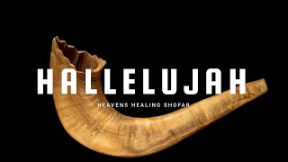 SHOFAR WORSHIP MUSIC  SPIRITUAL SOUNDS FOR PRAYER AND MEDITATION  HALLELUJAH [upl. by Simonetta]