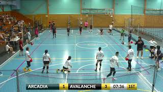 2023 NSWDL Bronze Mixed Div 1 Arcadia Assassins vs Alpine Avalanche [upl. by Acceb]