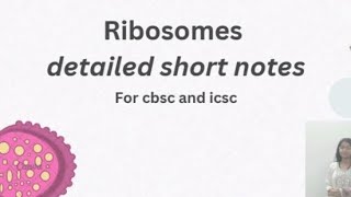 ribosomes detailed biology short notes class 9 and 10 cbsc and icscbiology [upl. by Aicella782]