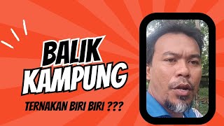 Ep 112 Balik Kampung Inilah Cara CT Buat Untuk Ternakan Biri Biri [upl. by Llerrut]