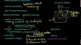 Dialysis purification of colloids class 12 chemistrysurface chemistryvideo 14 [upl. by Eilsehc]