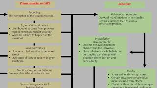 Cognitiveaffective processing systems CAPS  Brief video on personality psychology [upl. by Eimarrej]