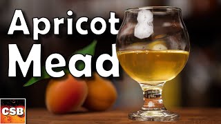 Easy Apricot Mead Recipe StepbyStep Tutorial [upl. by Gora]