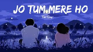 Jo Tum Mere Ho 🩷❤️🩷 Dekho Na Dekho na Anu jain  slowed reverb  Latest hindi song [upl. by Tuppeny]