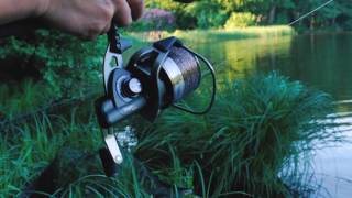 Adam Penning on the Okuma Trio Rex reels [upl. by Coombs]