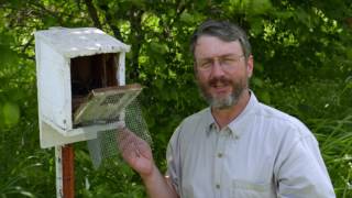 Homes for Nesting Bluebirds [upl. by Heti]