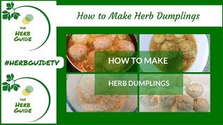 How to Make Herb Dumplings [upl. by Ycnaffit356]