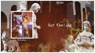 PANTHEPACK  Gut Feeling Color Coded  Lyrics  EngSub [upl. by Philo540]