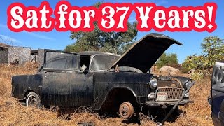 ABANDONED 1955 Chevrolet RESCUED After 37 Years [upl. by Neyr]