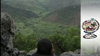 PKK Kurdish Attack on Turk Forces [upl. by Marjory]