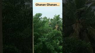 Ghanan Ghanan  Lagaan  MeampMusic shorts [upl. by Schreiber]