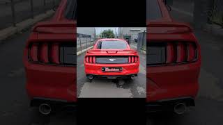 65세대 머스탱23 에코부스트 스피텍엑슬백 TeamMachine s550 mustang ecoboost axlebackspeetek [upl. by Jeni]