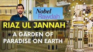 Detail Video of Nobel Rawdah RIAZ UL JANNAH in masjid e nabwi medina saudia arabia 🇸🇦 [upl. by Maddocks268]