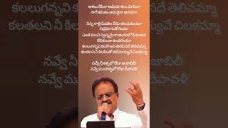 Santhosham Sagam Balam Lyrics song from Chirunavvuto movie by Mani Sharma SP Balasubrahmanyam [upl. by Fisken]