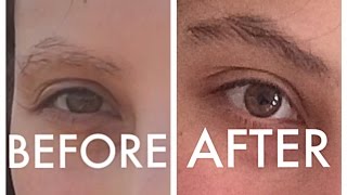 HOW I GREW FULL amp THICK EYEBROWS FAST  REVITABROW [upl. by Sudaorb]