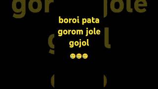 boroi pata gorom jole gojol  shortsvideo amarbarirajshahi shorts [upl. by Xam]