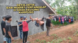 VIRALDETIK DETIK BABI NGEPET BERUBAH JADI MANUSIA TERTANGKAP WARGA DBAWA KELILING KAMPUNG [upl. by Romola404]