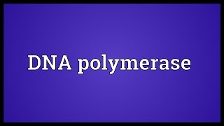 DNA polymerase Meaning [upl. by Anoerb]