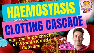 Hemostasis and the Clotting Cascade Why Vitamin K amp Calcium are important [upl. by Burhans]