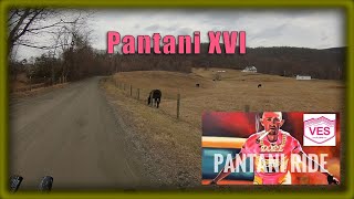 Pantani Gravel Ride 2022  Virginia Endurance Series [upl. by Nahsrad]