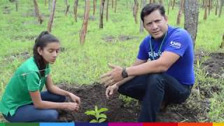 Proceso de plantación de Maracuyá [upl. by Eiclud]