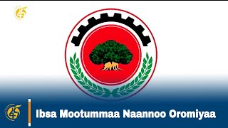 Ibsa Mootummaa Naannoo Oromiyaa [upl. by Anirehs]