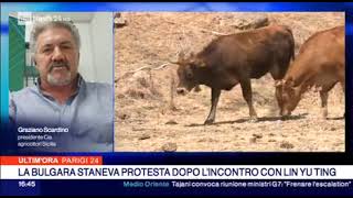 Rainews24 intervista Scardino sulla siccita in Sicilia [upl. by Dimond]