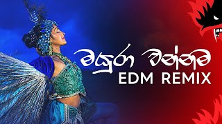 Mayura Wannama EDM Remix  Sri Lankan EDM  Yaxer [upl. by Coucher]