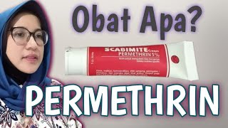 Permethrin Obat Apashortsvideopermetrinobattungau [upl. by Aiden]