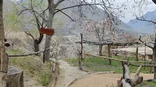 Altit Fort Hunza [upl. by Aneeras]