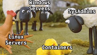 What Fits Better in Business Windows or Linux Does it even matter [upl. by Nicolette617]