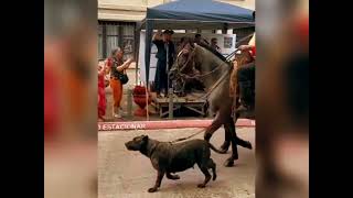 Momentos en Patria Gaucha  Baile lluvia y Desfile Gaucho 2024 [upl. by Tracie]