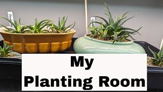 Hang Out With me While I Tidy the Planting Room and Repot Some Plants [upl. by Allimak]