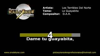 Los Terribles del norte LA GUAYABITA karaoke [upl. by Naes346]