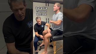 Patella Tendon Reflex  Demonstration physicaltherapy [upl. by Beuthel]