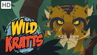 Wild Kratts  The Deadliest Felines in Nature [upl. by Deeyn736]