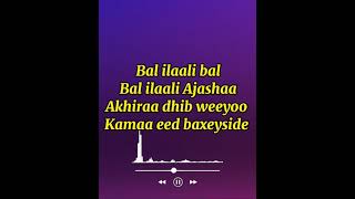 Salahudiin Xidig  Hees Bal ilaali  Lyrics 2024 Xasuusti Axmed Mooge [upl. by Anaoy]