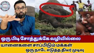 தலைவிரித்தாடும் பஞ்சம் ஒரு நாடே எடுத்த திடீர் முடிவு NamibiaMeezanTvTamilSalahan Azhary [upl. by Edmond]