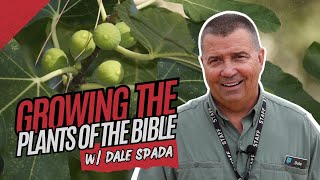 Bible Meets Botany A Sneak Peek at the Creation Museums CuttingEdge Conservatory with Dale Spada [upl. by Rednael991]