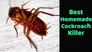 Homemade cockroach killer Goodbye to cockroaches with this homemade trick Get Rid Of Cockroaches [upl. by Akkina]