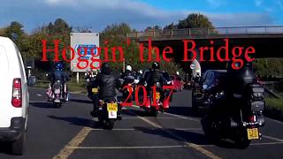 Hoggin the Bridge 2017 CliffampNova [upl. by Dric]