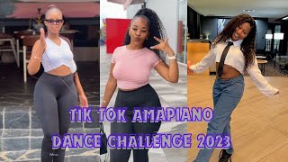 NEW AMAPIANO DANCE CHALLENGE  2024  TIKTOK VIRAL [upl. by Yrailih194]