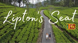 Lipton’s Seat  Sri Lanka Haputale 🇱🇰 [upl. by Stortz400]