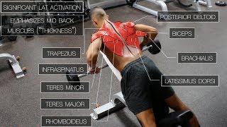 The Best ScienceBased Back Workout TARGET EVERY MUSCLE [upl. by Ruben34]